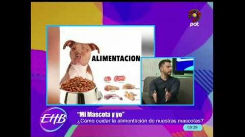 Embedded thumbnail for ¿Como cuidar la alimentación de nuestras mascotas?